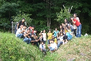 d41.JPG