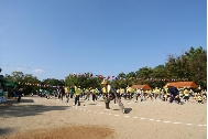 IMG_0235 (大).JPG