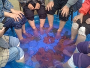 IMG_0495.jpg
